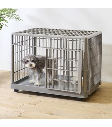 Amazon | わんにゃんルーム シングル 犬 猫 ケージ ホワイト おしゃれ